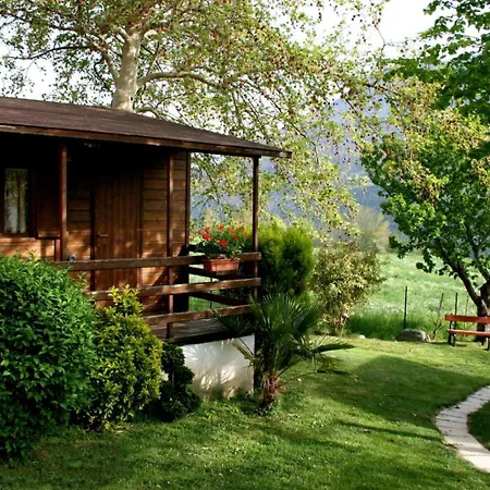 营地 Paradise Village